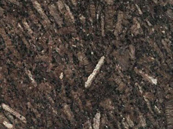 皇(huang)室(shi)啡(fei)1號