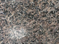 新(xin)皇室(shi)啡