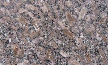 新品皇(huang)室(shi)啡(fei)