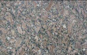 皇(huang)室(shi)啡(fei)玫(mei)瓌長(zhang)蘤(hua)